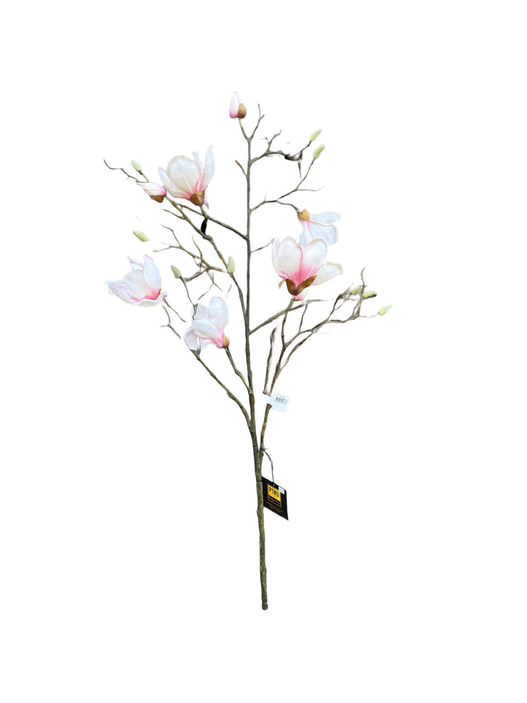 PTMD Magnolienblüte Zweig