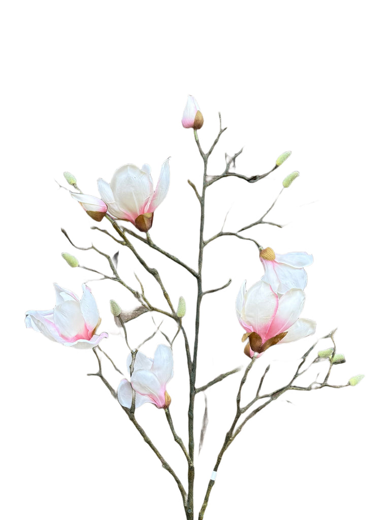 PTMD Magnolienblüte Zweig